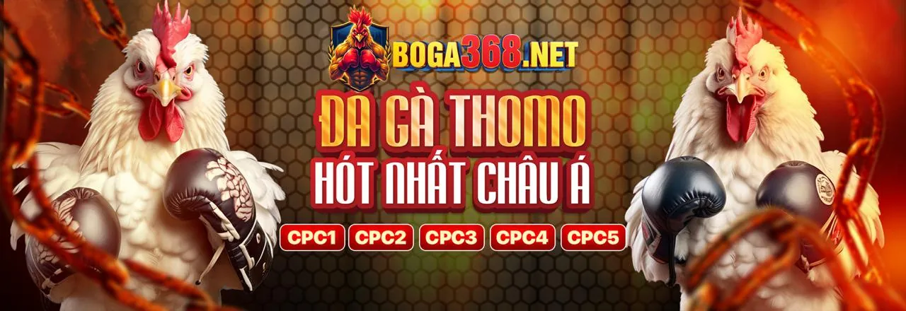 Đá gà trực tuyến ebet4 win