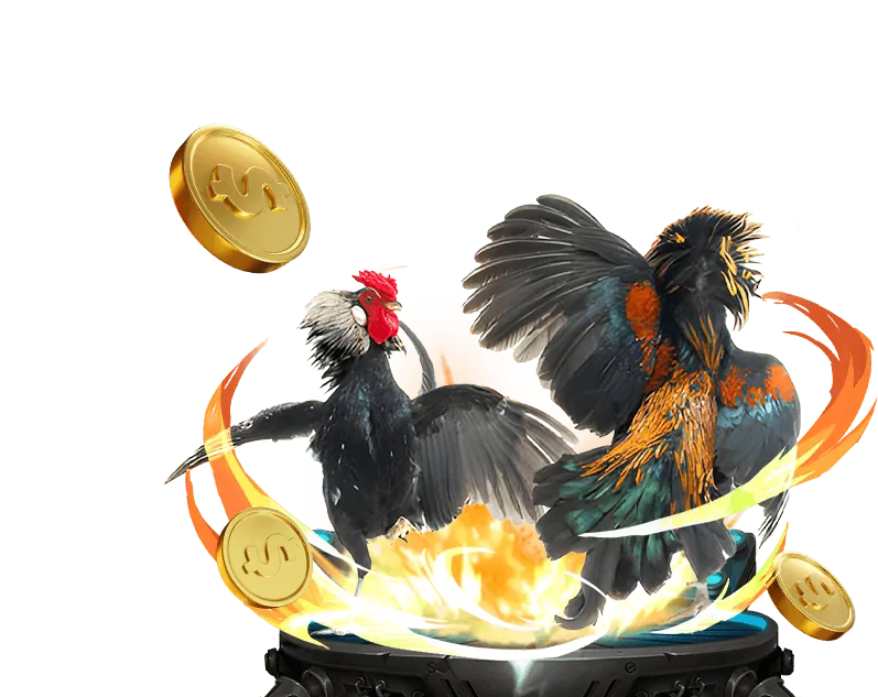Mẹo cược đá gà ebet4 win